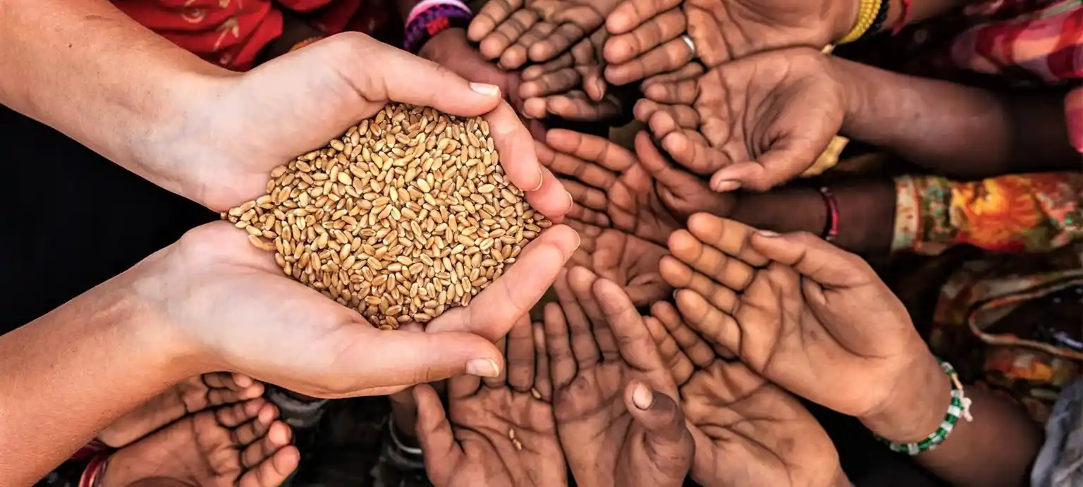 Charity: 8 Rules you must Apply