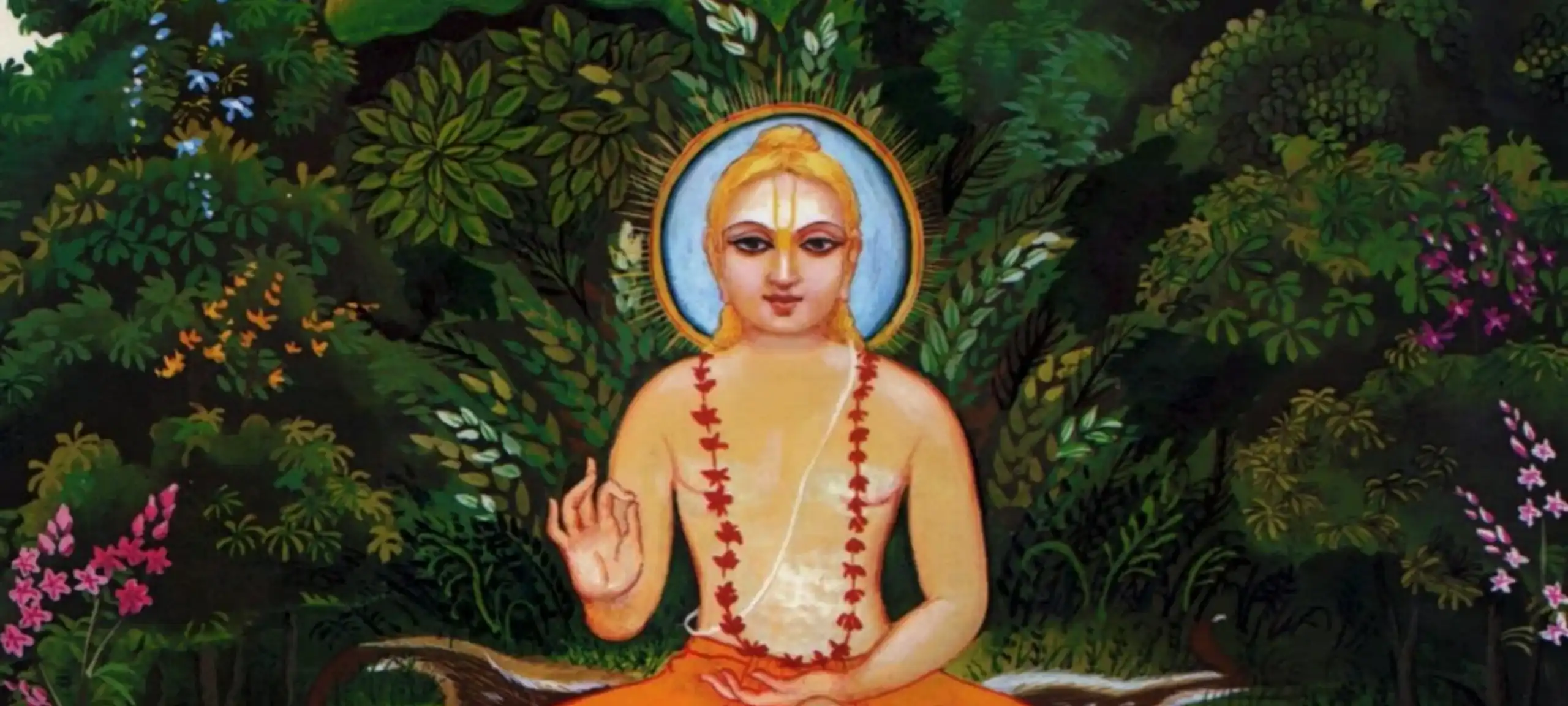 Unveiling the Wisdom of a Sage: A Deep Dive