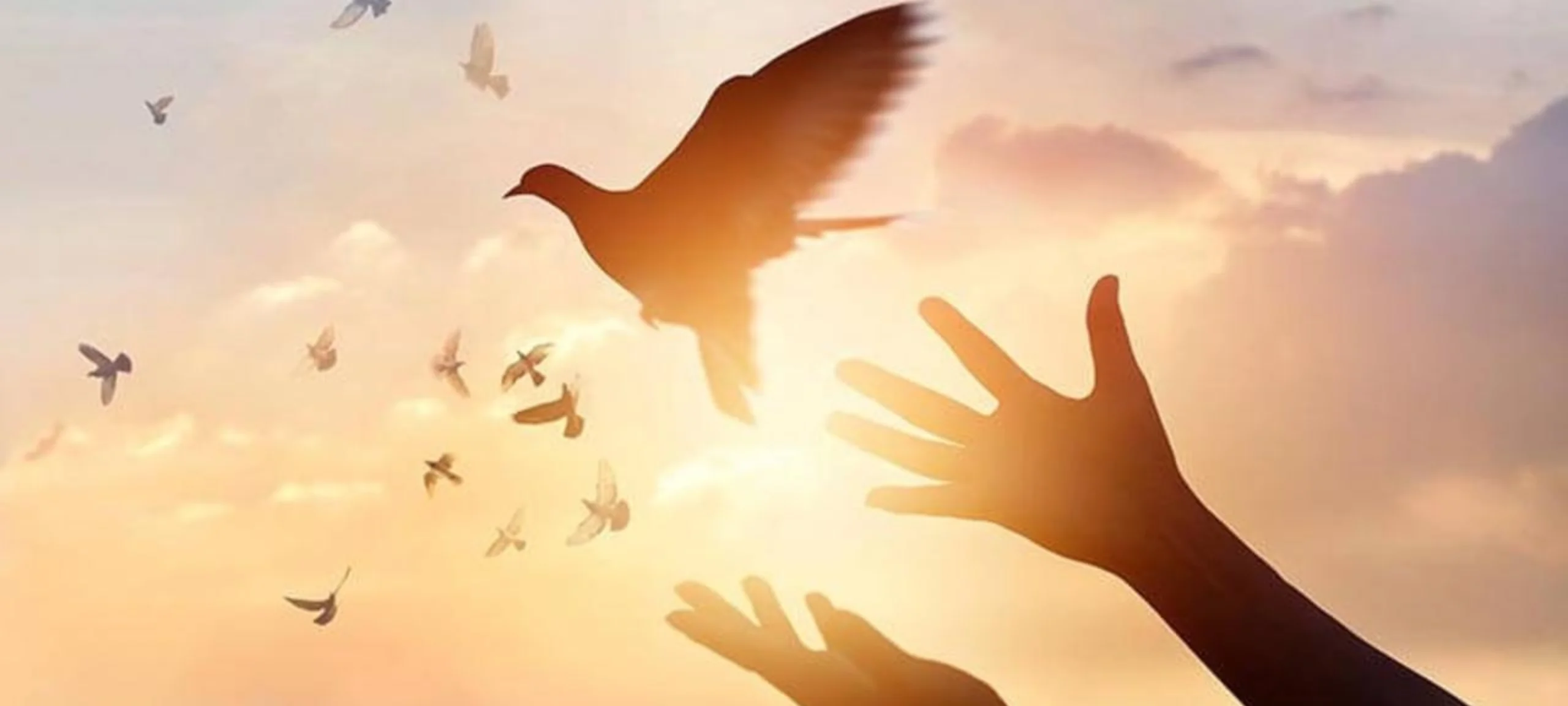 Spiritual Freedom: 6 Secrets you may not know