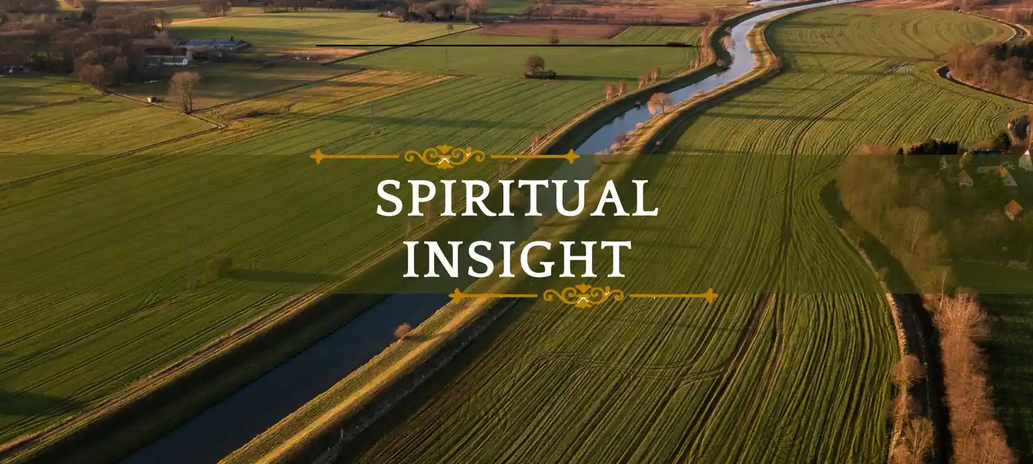 Spiritual Insight: 4 Powerful Indicators