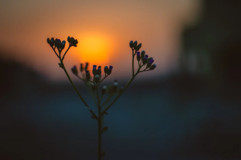 Best time to Chant Gayatri Mantra