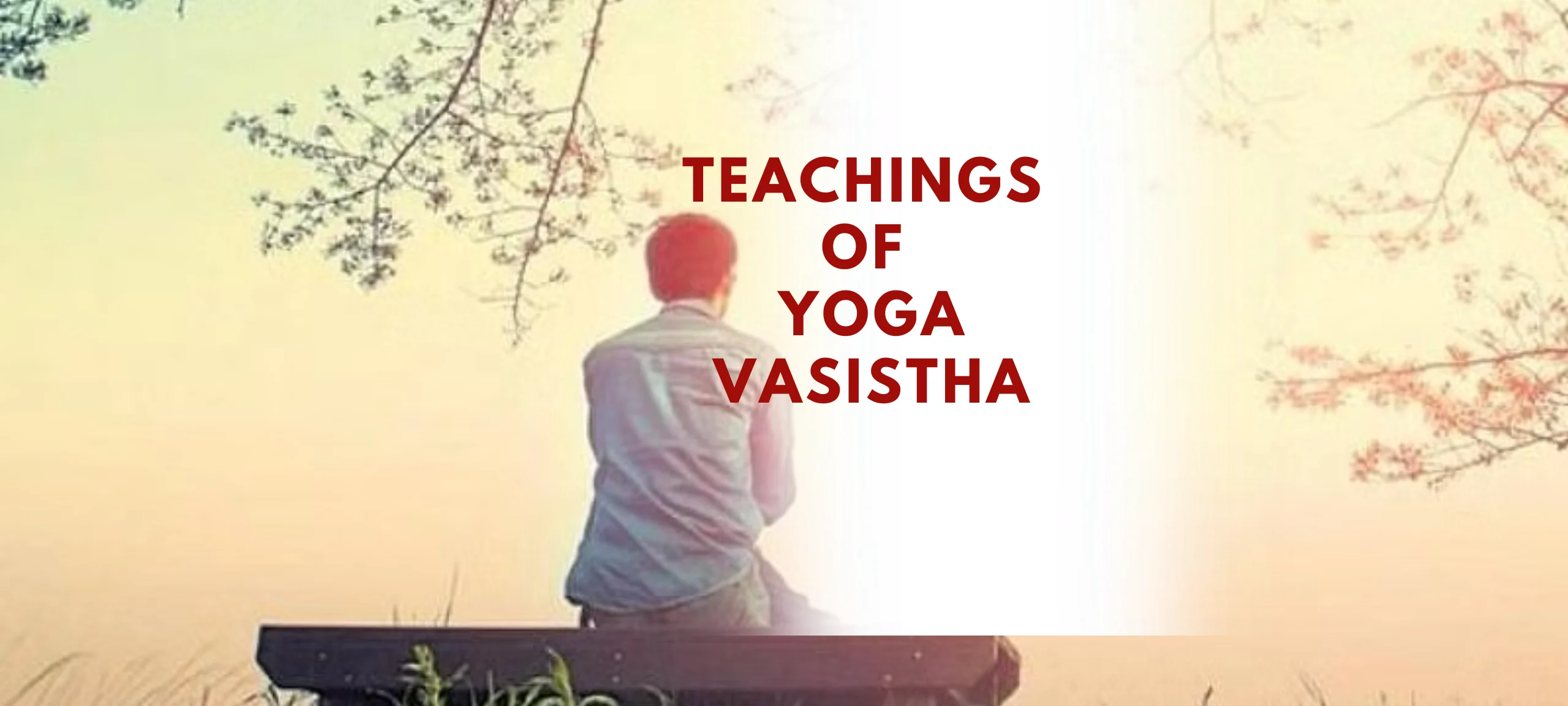 Yoga Vasistha Teachings: 7  Important Principles
