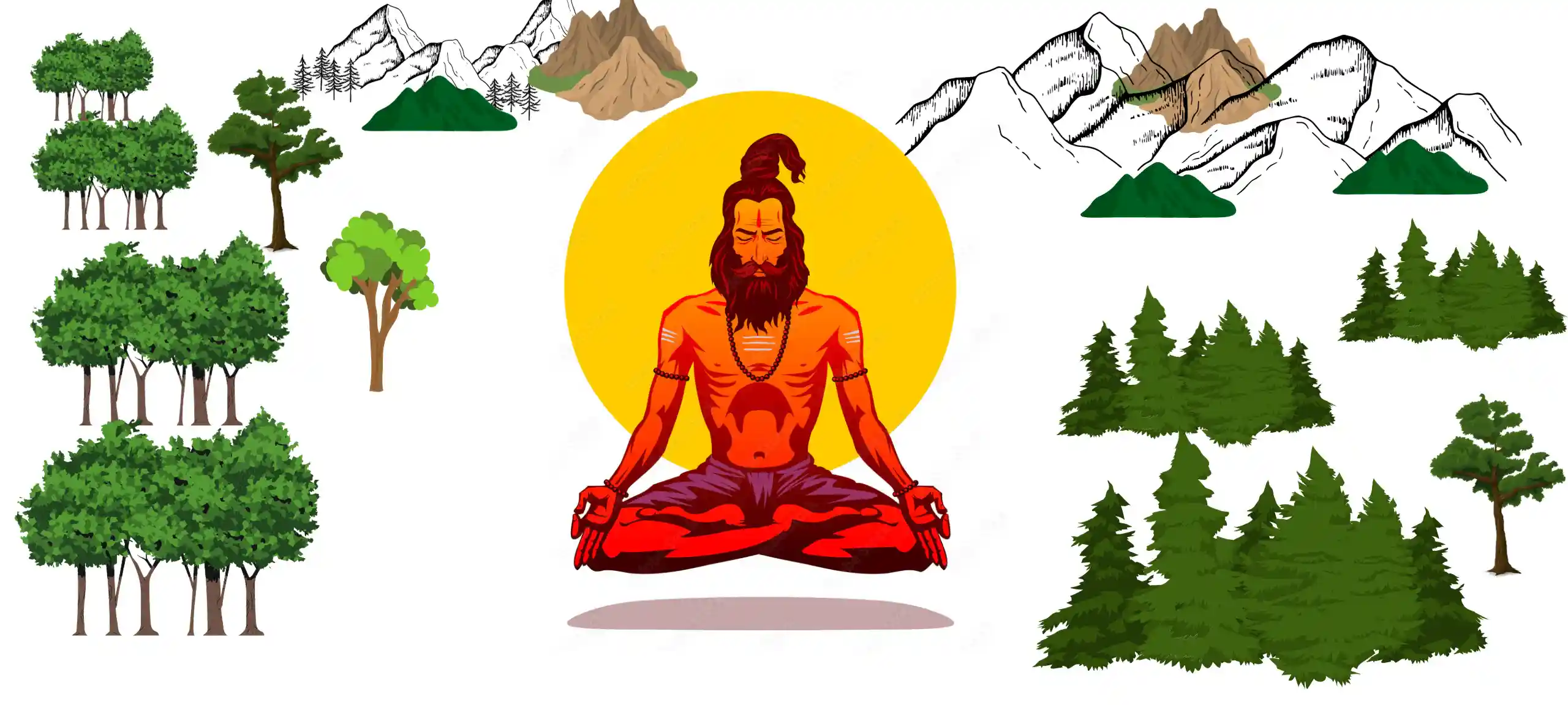 Essence of a True Yogi: Balance and Harmony