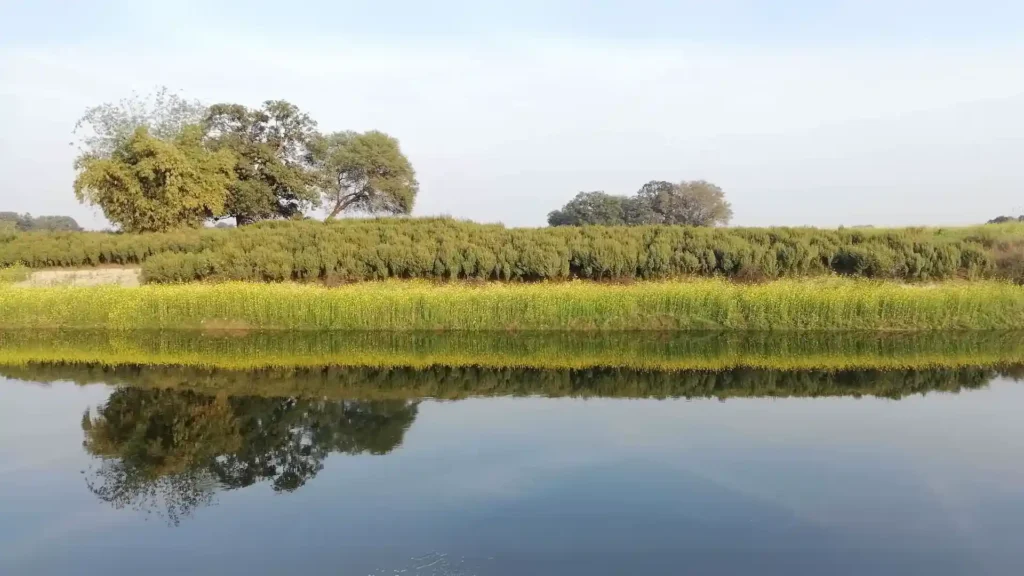 Tamsa River