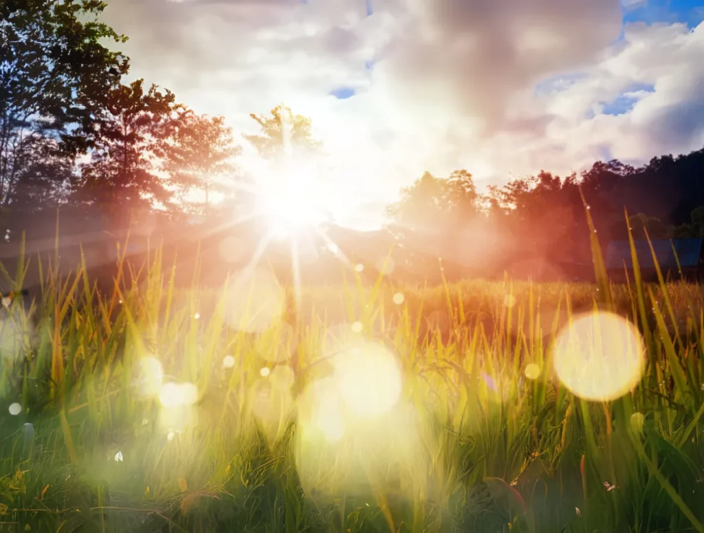The Sun and Prana Shakti (Life Force)