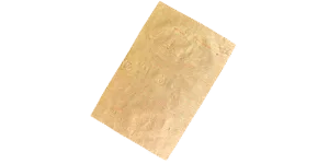 WEBSITE HOME PAGE Bhoj patra