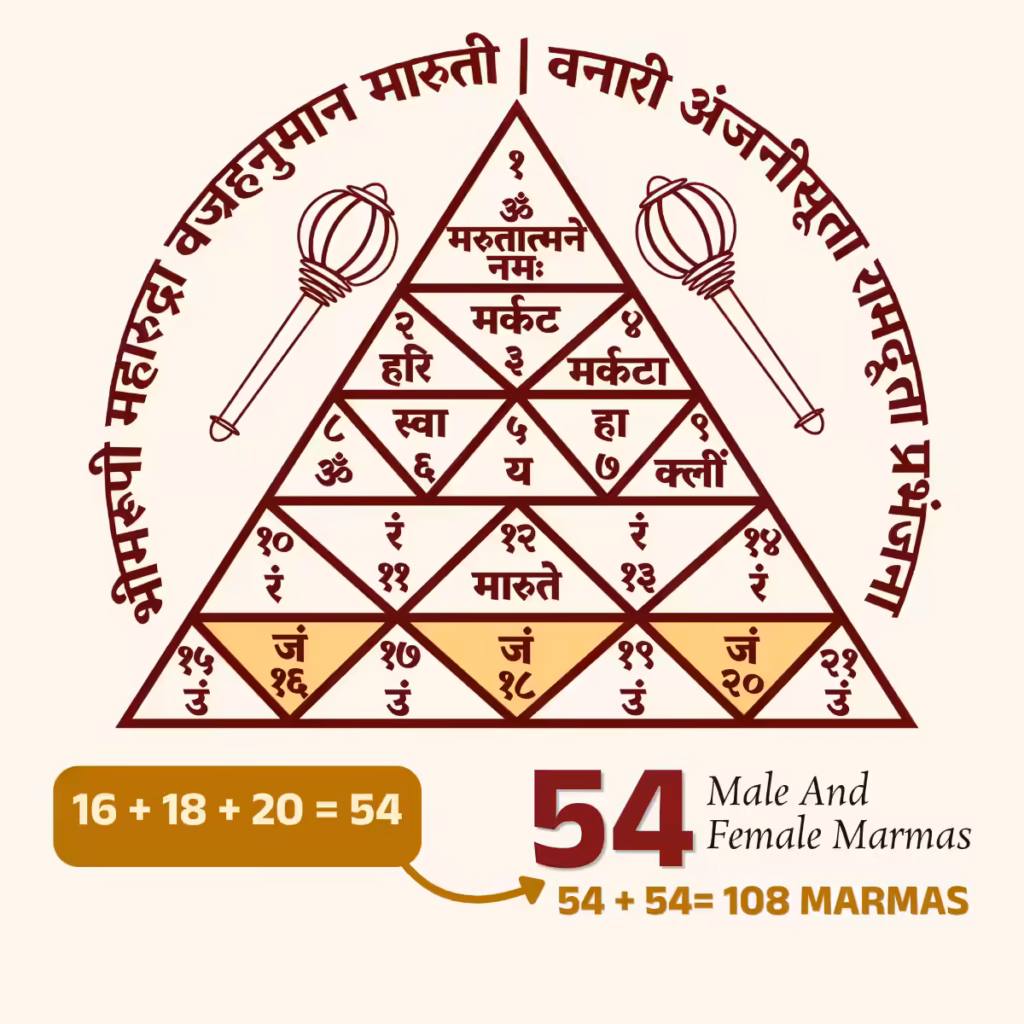A geometric layout of the second layer of the Sri Maruti Yantra highlighting inverted triangles that sum to 54, representing the renewal of energy for the 108 sensitive Marma zones.