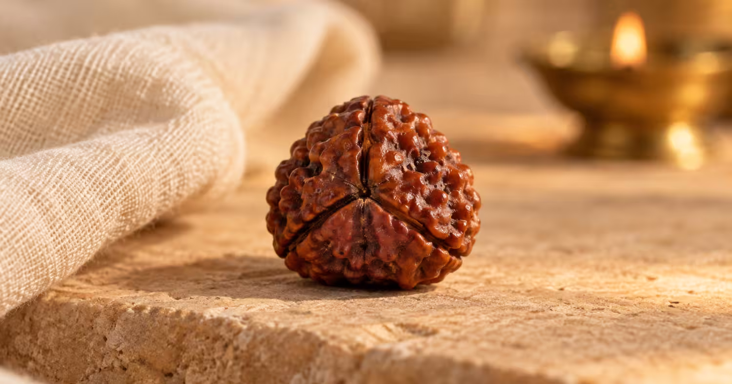 A close-up of an authentic 3 Mukhi (three-faced) Rudraksha bead resting on a stone surface with a lit diya in the background.